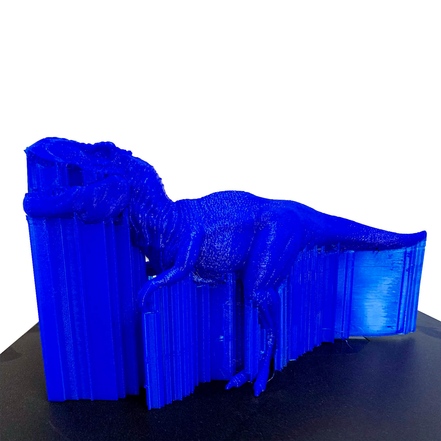Trex-3d-printed-with-flashprint